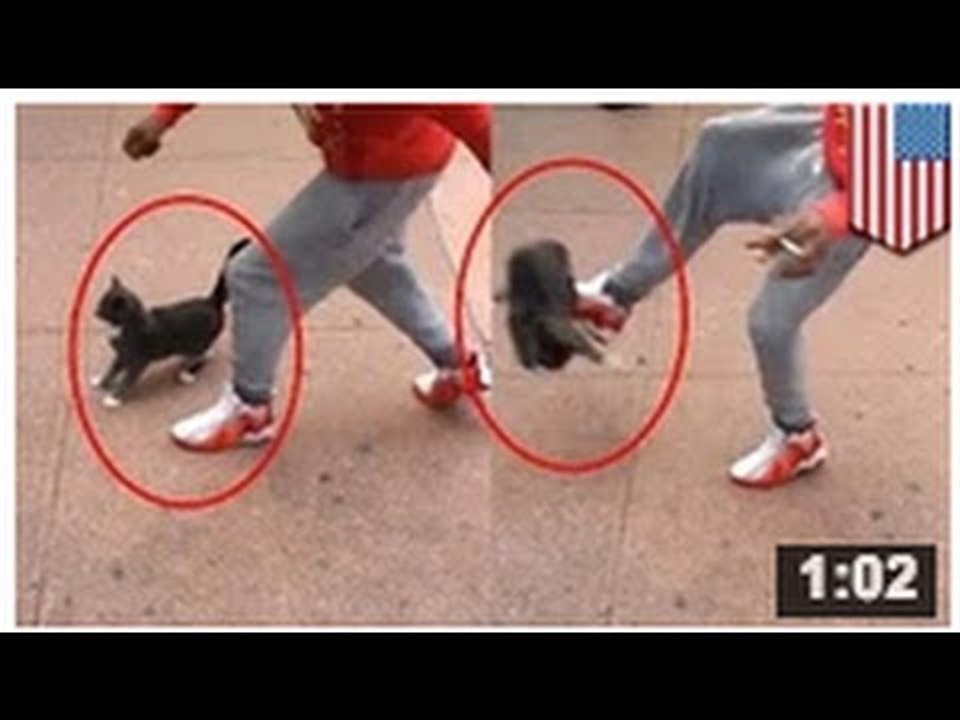 VIDEO: Un type martyrise un chat, se fait filmer, rit et arrêter pour cruauté envers les animaux