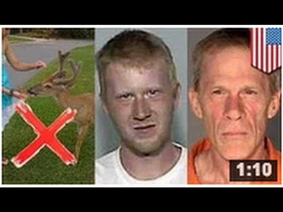 Un homme tue ses voisins parce qu'ils lui ont donné la maladie de Lyme