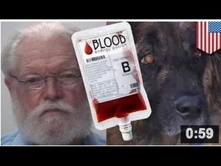 Un chien zombie a été malmené par un vétérinaire pendant plus d'un an