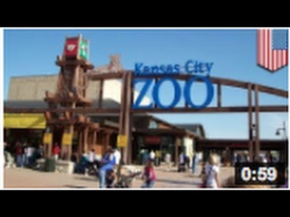 Sept singes se sont échappés du Zoo de Kansas City