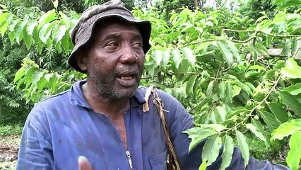 El secreto de los mejores perfumes del mundo