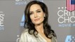 Angelina Jolie surgery: Fearing ovarian cancer, actress removes her fallopian tubes and ovaries