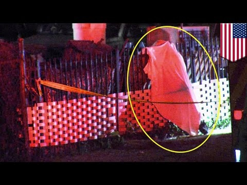 Gruesome death: Man's face impaled on fence spike after falling from tree while drunk