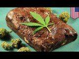 Weed brownie causes paralysis? Brooklyn teen partially paralyzed after eating pot brownie