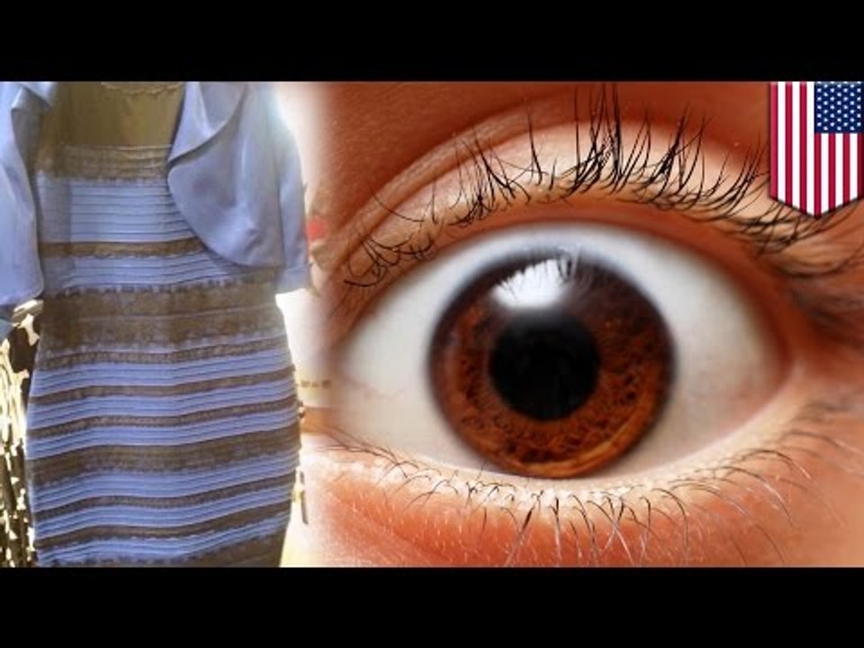 The Dress: science explains why some see it as white and gold and others see it as blue and black