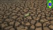 Severe drought emergency: Brazil faces its worst drought in 84 years