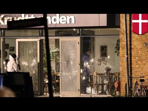 Copenhagen shootings leave 2 dead and 5 wounded