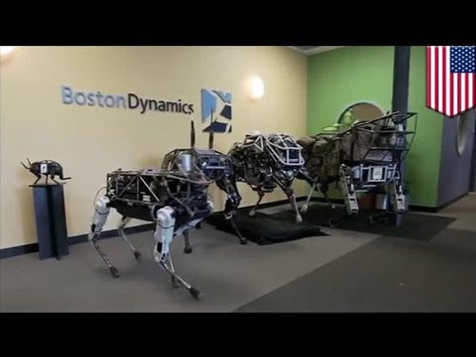 Google's robot dog: Boston Dynamics puts robot dog Spot through training day