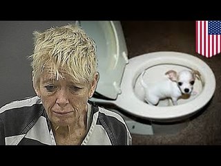 Animal cruelty: wicked Florida woman drowns `too small to fly' puppy in airport toilet