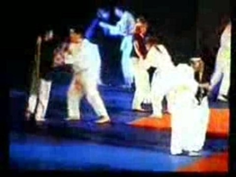 Nuit des Arts Martiaux 2007 (Grands)