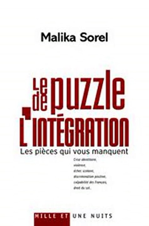 Download Le Puzzle de l'integration Ebook {EPUB} {PDF} FB2