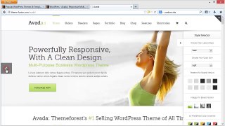 ThemeForest Tutorial - A Video Tutorial on Great Wordpress Themes