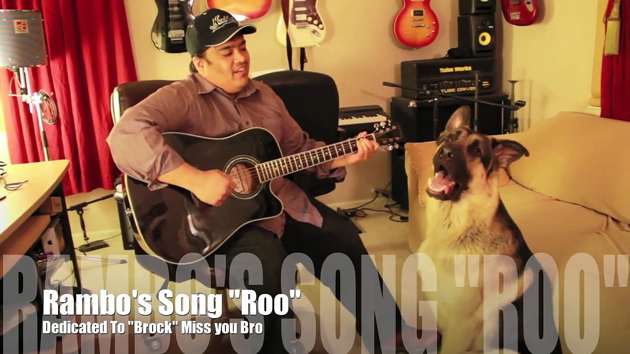Dog Singing With Guitar