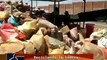 Contrastes-reportaje: Planta de reciclaje de basura de Yanahuara
