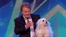 Dailymotion - Britain's Got Talent's talking dog Miss Wendy