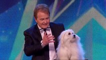 Britain's Got Talent's Talking Dog Miss Wendy