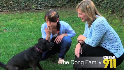 Cesar 911 - "Family Feud" Follow Up Interview