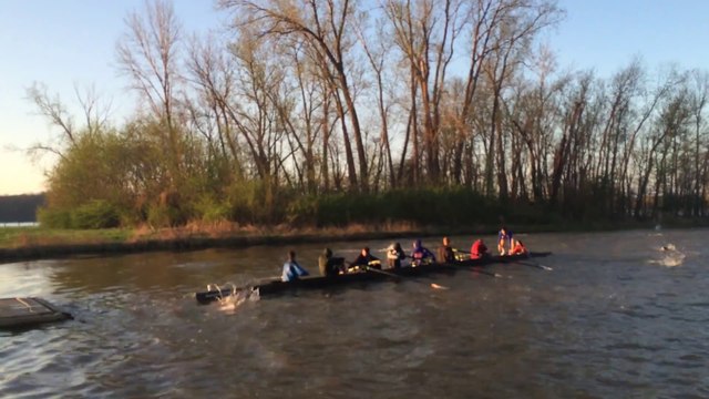 Une équipe d'aviron attaquée par un banc de poisson très agités!