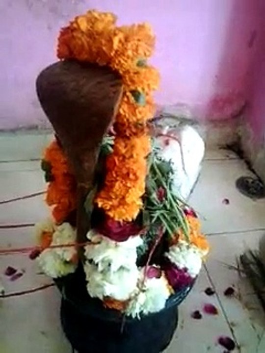 माँ त्रिपुर सुन्दरी  शिवा शक्ति मन्दिर। बुराड़ी  दिल्ली ११००८४ सम्पूर्ण कष्ट नाशक  (नवरात्रि विशेष पूजा )