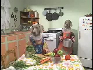 William Wegman's Alphabet Soup