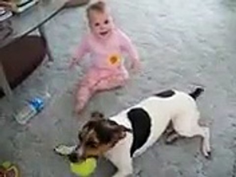 Baby Playing With Dog Having Fun