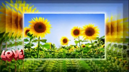 Vuruldum Ey Halkım - Suat Alican [2015]