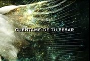 Maná - Lluvia al Corazón (Lyric Video)