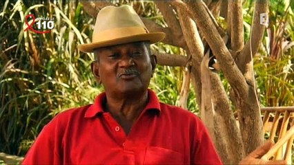 " Alanoula " avec Firmin Viry (Réunion 1ère)