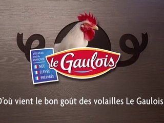 BETC pour Le Gaulois - «Français et populaire» - avril 2015