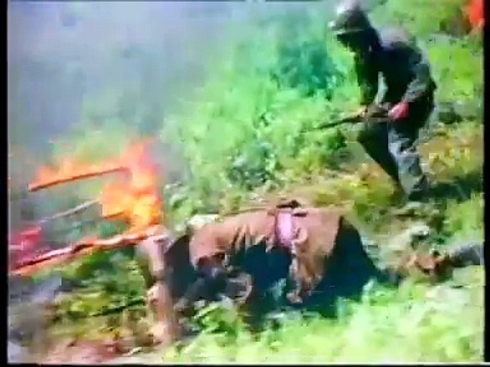 North Korean Army Training