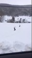 Deers stuck in the snow | Ciervos atrapados en la nieve en Beteta (Cuenca) 4 Febrero 2015