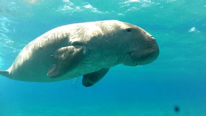 EdenSport - Marsa Alam 2014