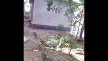 Flood Overtakes house