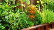 Compact Vegetable Garden Design Ideas, Kitchen Gardens, Raised Bed Vegetable Garden