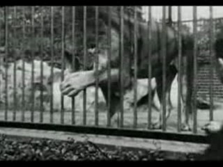 Lumiere - 1895 - London zoological garde