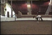 Appaloosa Hunter Under Saddle horse for sale, Spun Gold Loveaffair (SOLD)