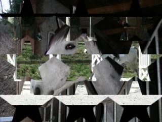 mon titou d'amour que j'aime à la folie