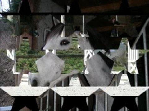 mon titou d'amour que j'aime à la folie