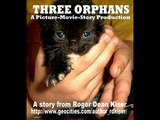 Three Orphans (An Orphan Story)