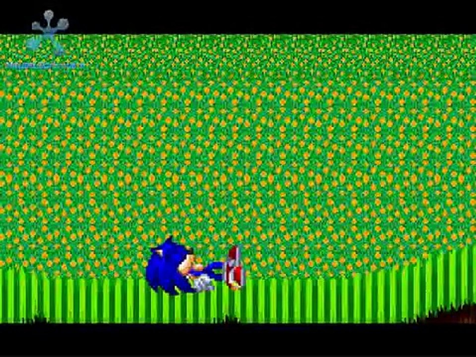 Random Flash 19 : ....................double u tea eff : Sonic vs Vince II