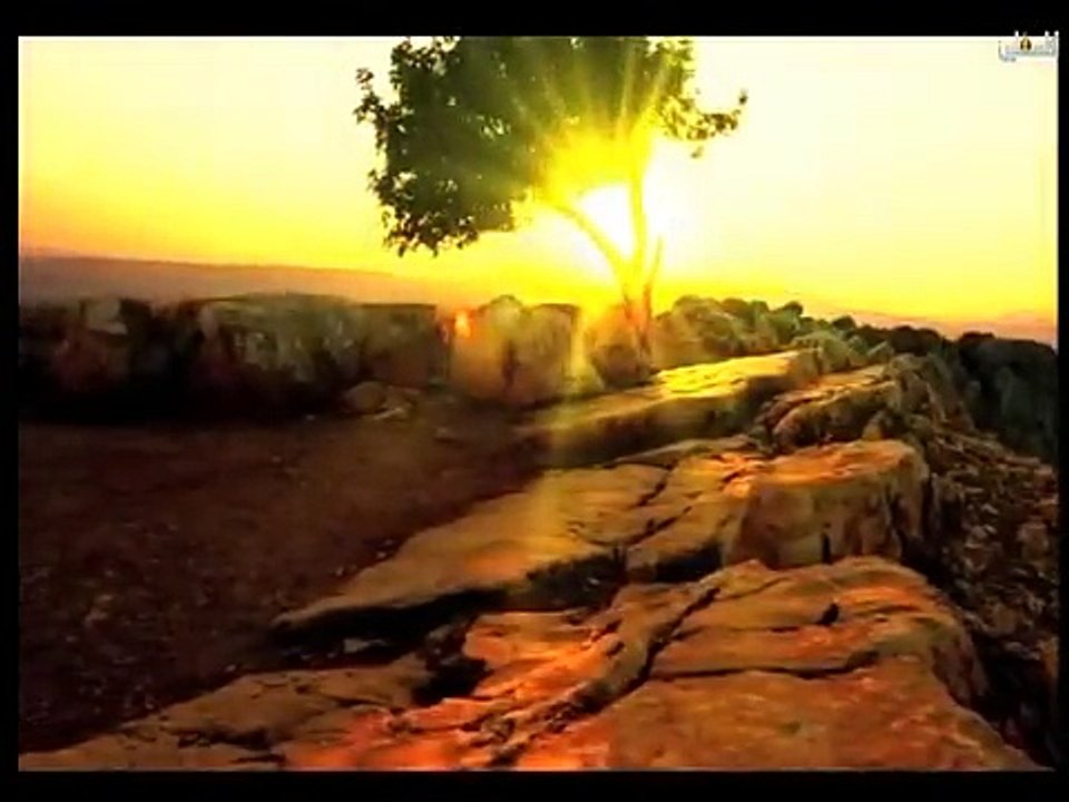 هذا الصباح - الثلاثاء 14-4-2015  ج1(0)