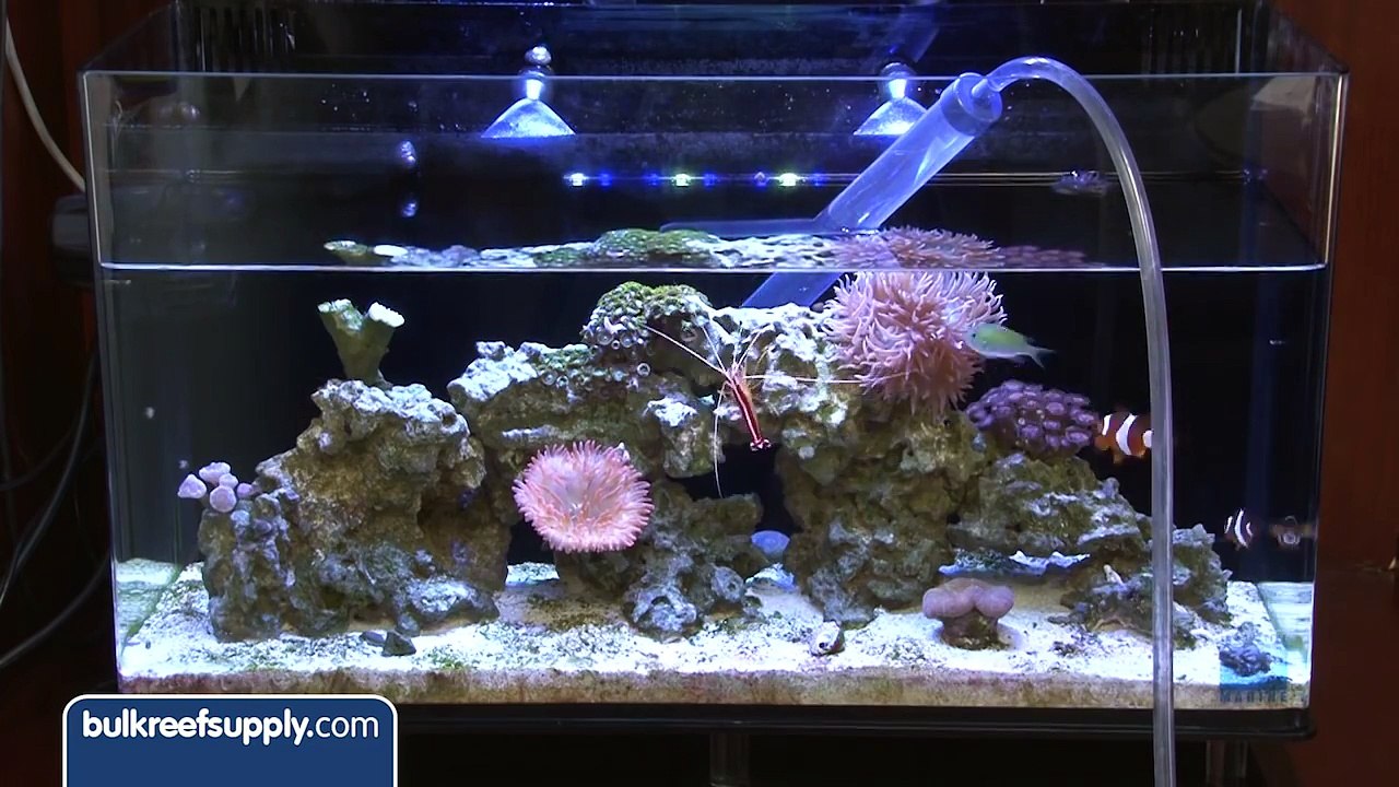 Making Aquarium Water Changes Easier - EP 2: Saltwater Aquarium Maintenance