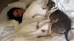 Morning kisses with Italian Greyhounds