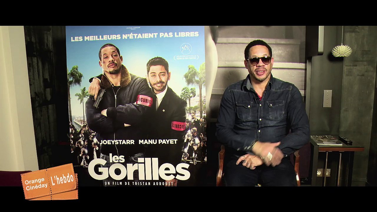 02 LES GORILLES