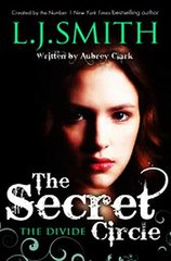 Download 4 The Divide Ebook {EPUB} {PDF} FB2