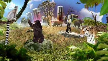 Armee gegen Wilderer – Tierschutz in Nepal | Global 3000