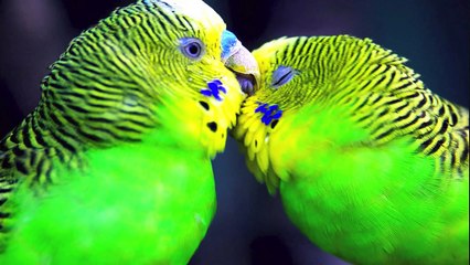 Natuur - nature - how great is our God