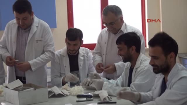 Kahramanmaraş Türkiye'de Kaliteli 8 Pamuk Çeşidi Geliştirildi