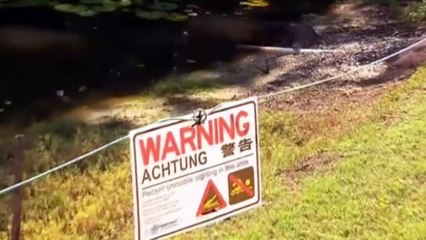 Australian golfer gets bitten by crocodile