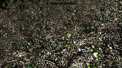 Skyrim Secret Glitch Chest  SOLITUDE (infinite gold)